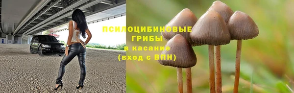 герыч Алексин