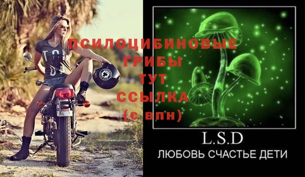 jwh Алзамай