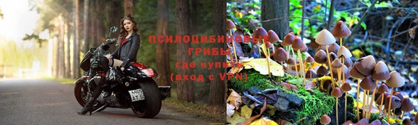 герыч Алексин