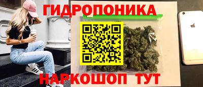 СК Канаш