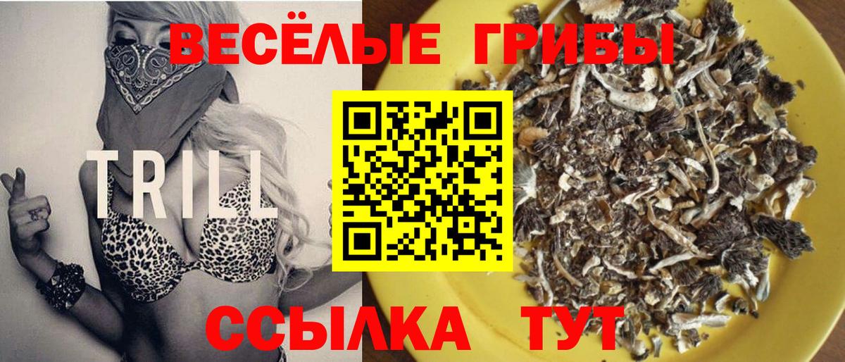 Казань  Галлюциногенные грибы ЛСД  Вход с VPN 